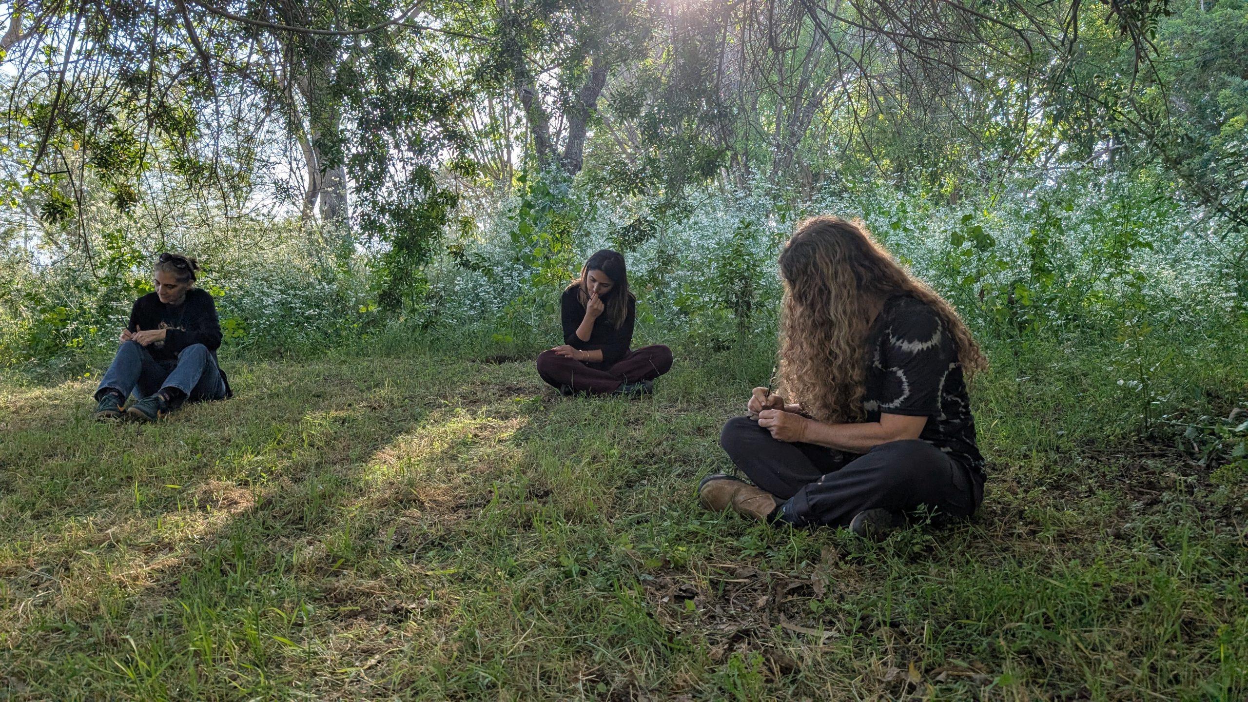 ריטריט ביער דפנה